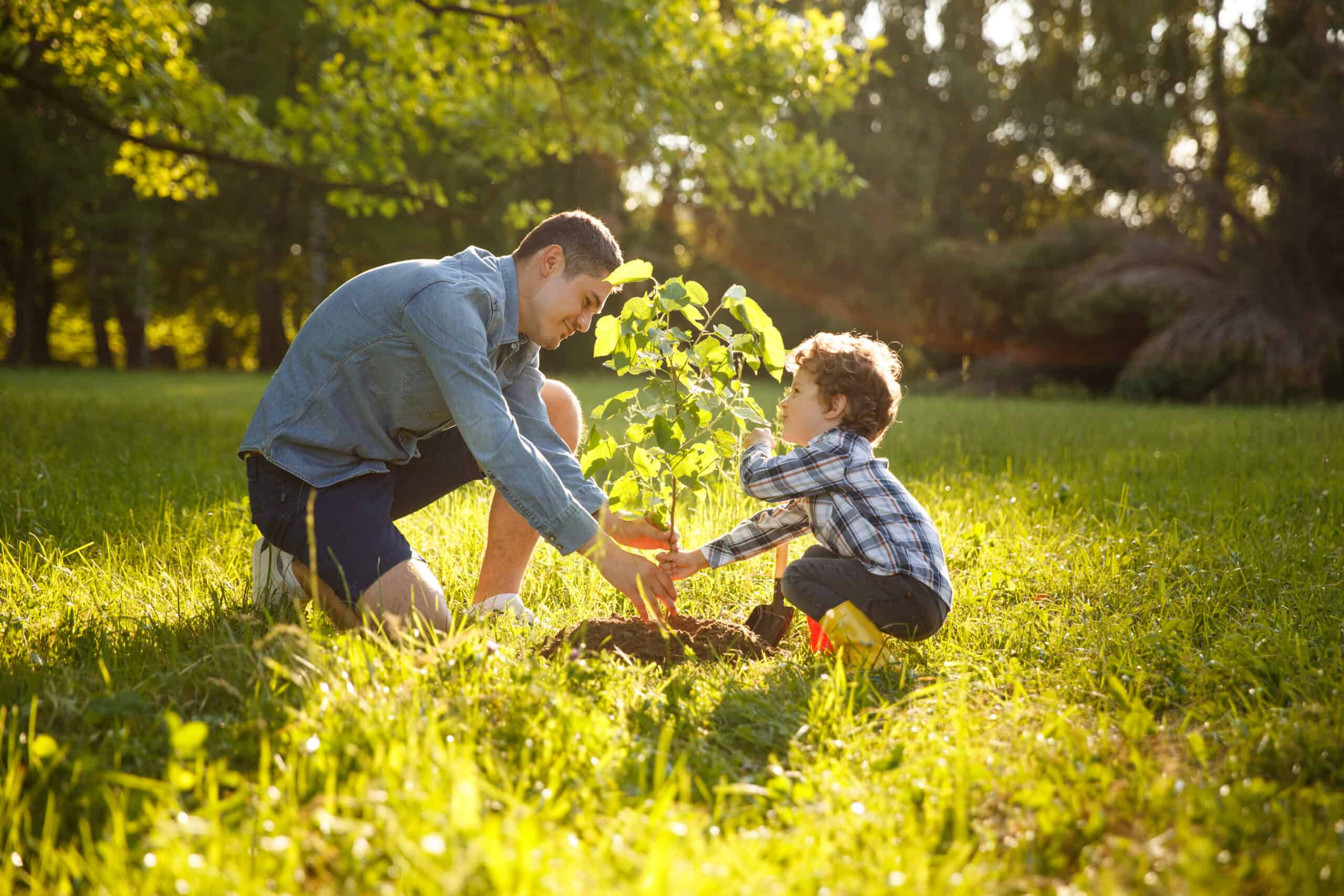 Vader en zoontje planten een boom